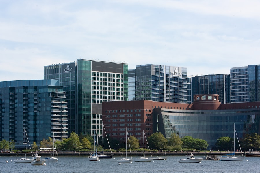 boston growth matrix