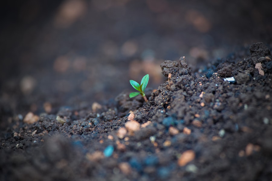 Photo organic growth