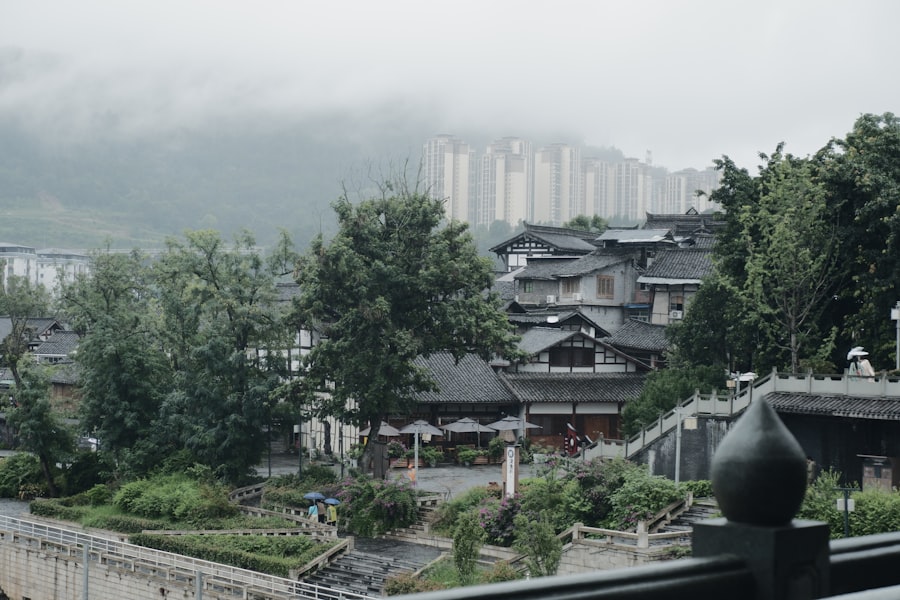 Photo local seo optimization