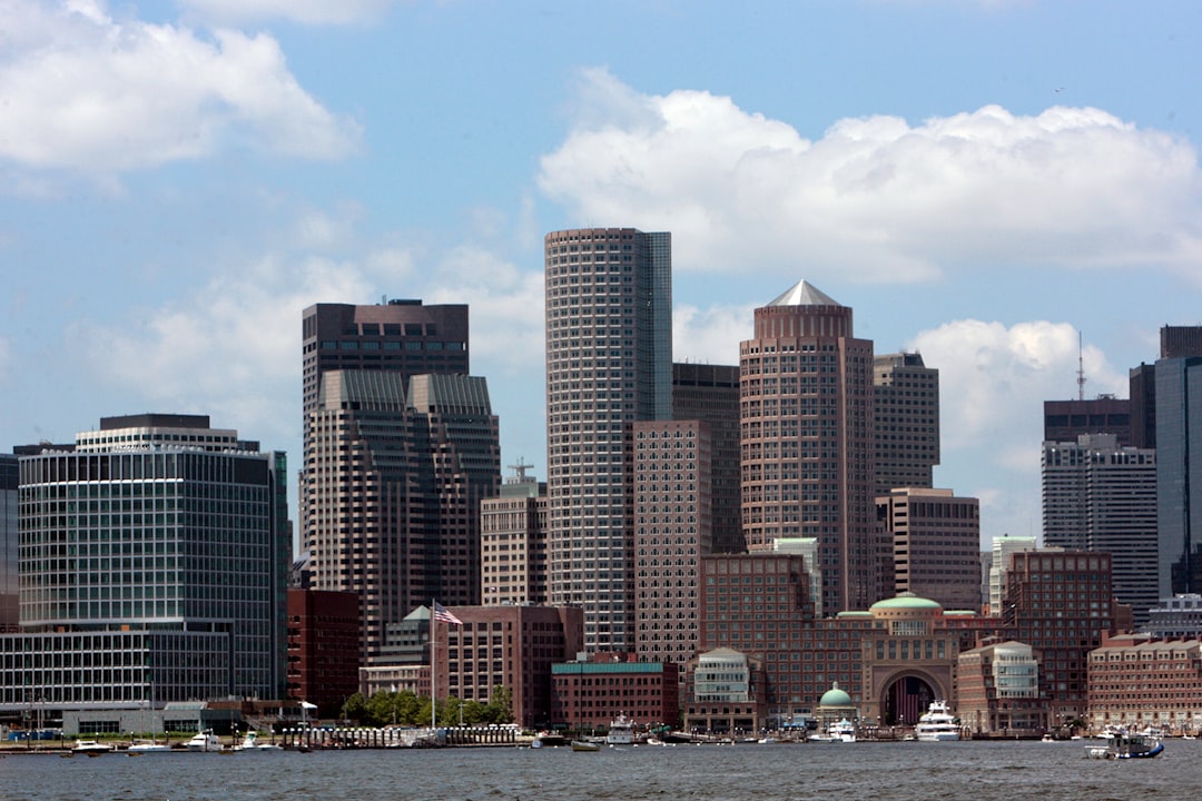 Maximizing Growth: Utilizing the Boston Matrix